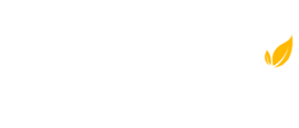 logo-Aug-06-2022-06-24-06-79-AM
