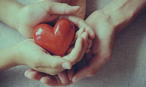 donate-image-1